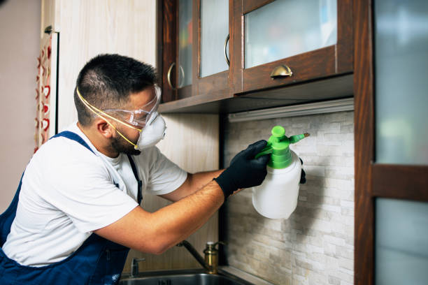 Best Indoor Pest Control  in East Los Angeles, CA